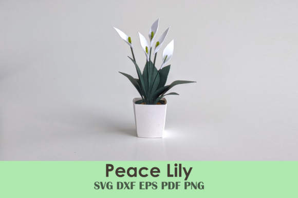 Peace Lily 3D SVG & Paper Flowers Review